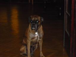 Resize of P1000180.JPG